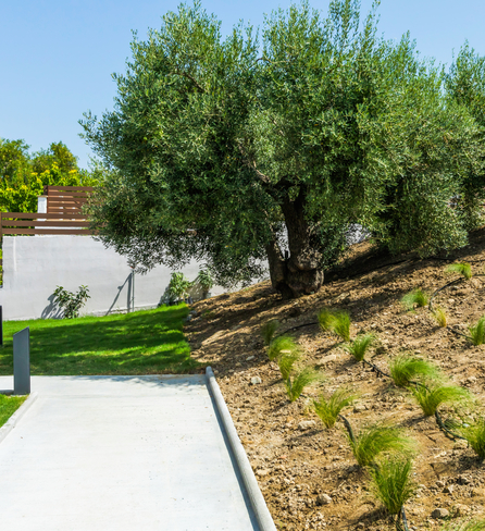 Dionisos Luxury Villas